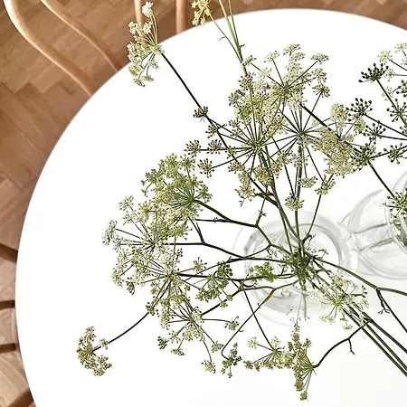 Entu Prusa アパート ヴロツワフ