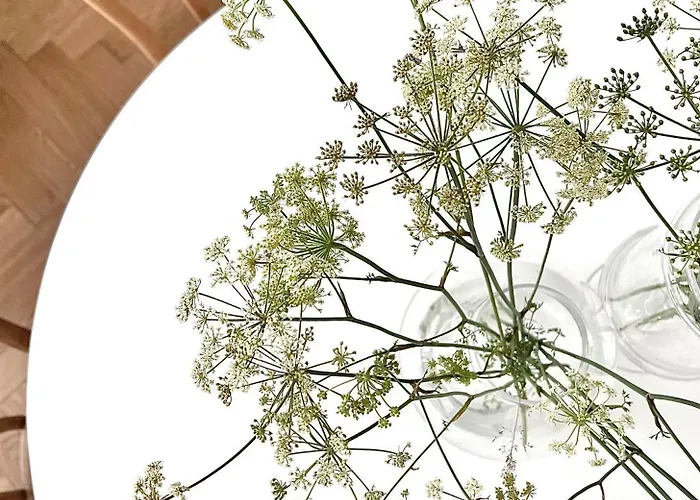 Entu Prusa Apartament Wrocław